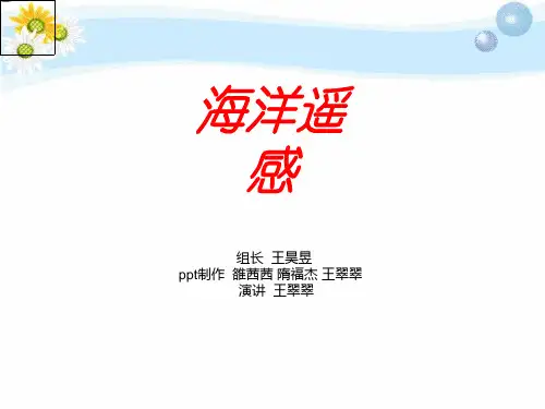海洋遥感概述