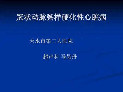 冠心病超声诊断最新总结