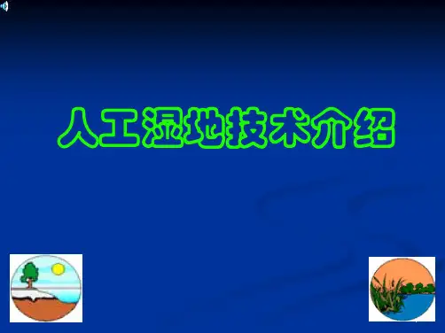 人工湿地介绍与设计