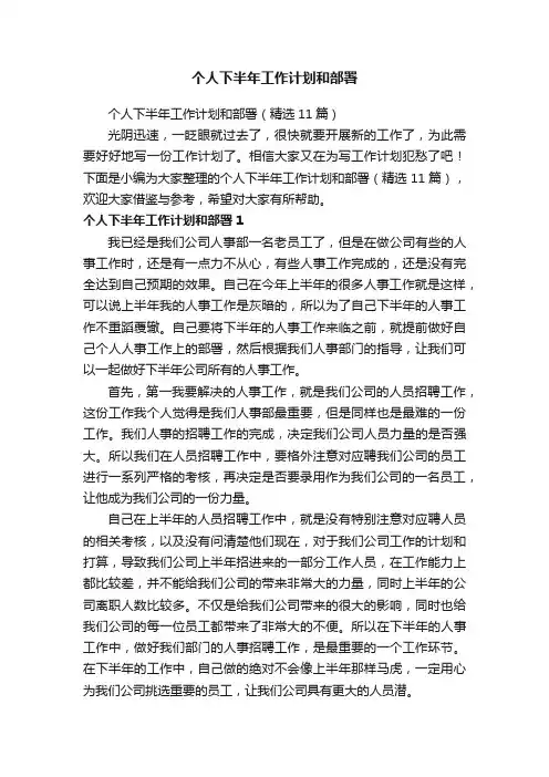 个人下半年工作计划和部署（精选11篇）