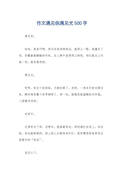 作文遇见你遇见光500字