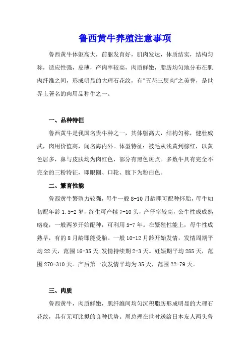 鲁西黄牛养殖注意事项