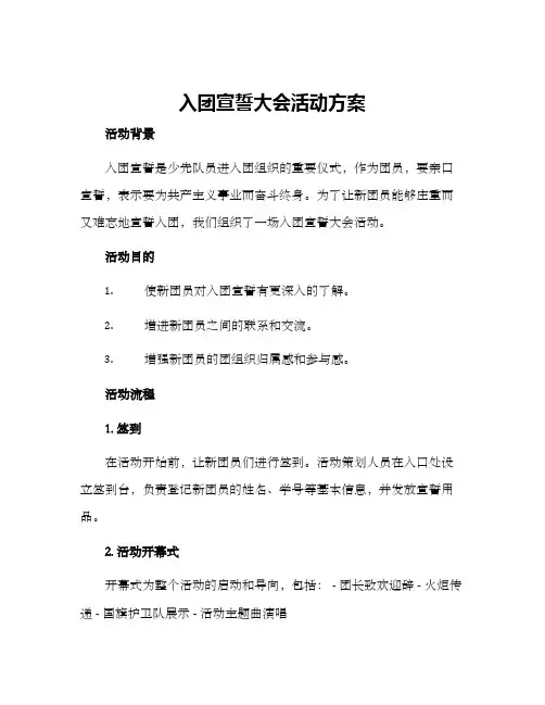 入团宣誓大会活动方案
