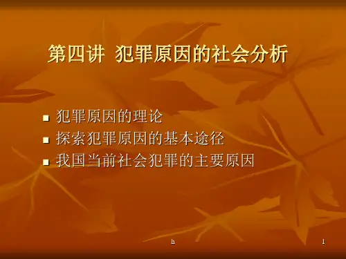 课件)-第四讲犯罪原因的社会分析