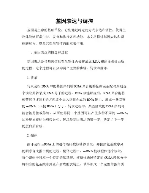 基因表达与调控