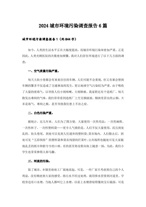 2024城市环境污染调查报告6篇