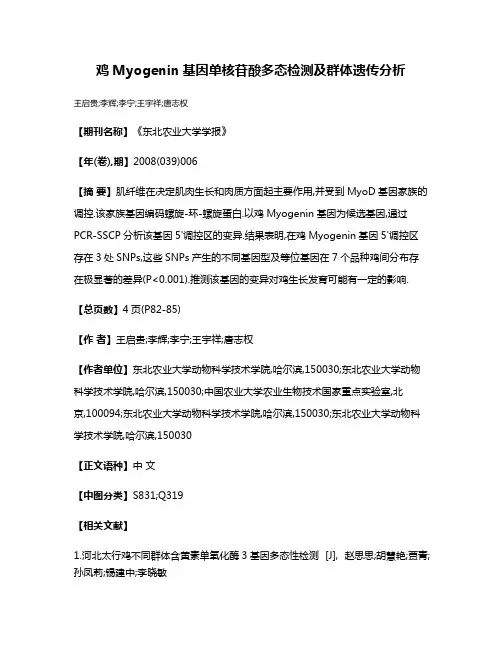 鸡Myogenin基因单核苷酸多态检测及群体遗传分析