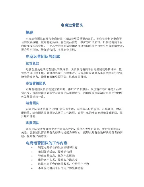 电商运营团队