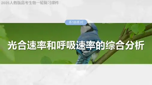 2025人教版高考生物一轮复习课件  第三单元 第18课时 光合速率和呼吸速率的综合分析