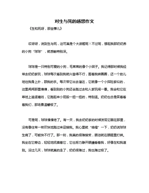 对生与死的感想作文