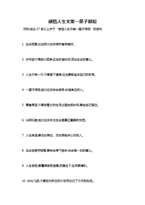 感悟人生文案一辈子很短