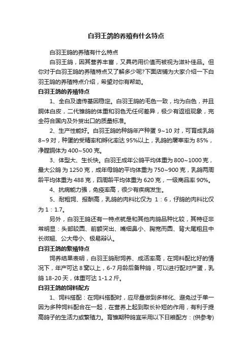 白羽王鸽的养殖有什么特点