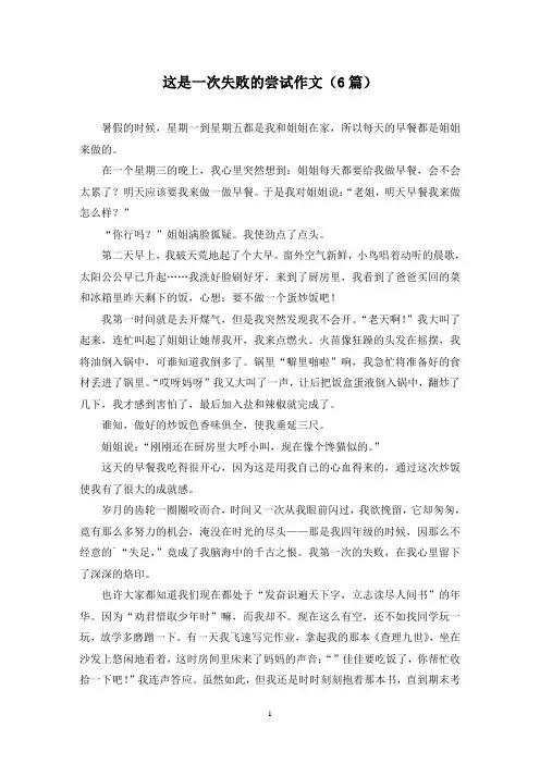 这是一次失败的尝试作文(6篇)