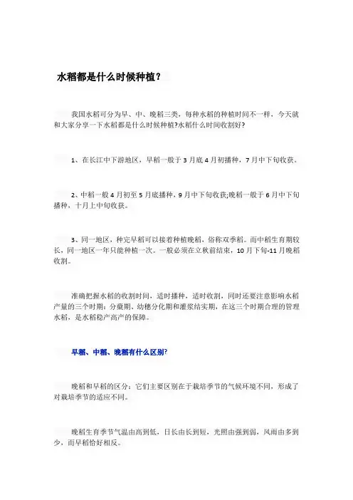水稻都是什么时候种植