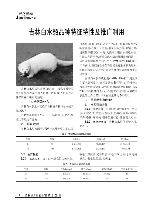吉林白水貂品种特征特性及推广利用