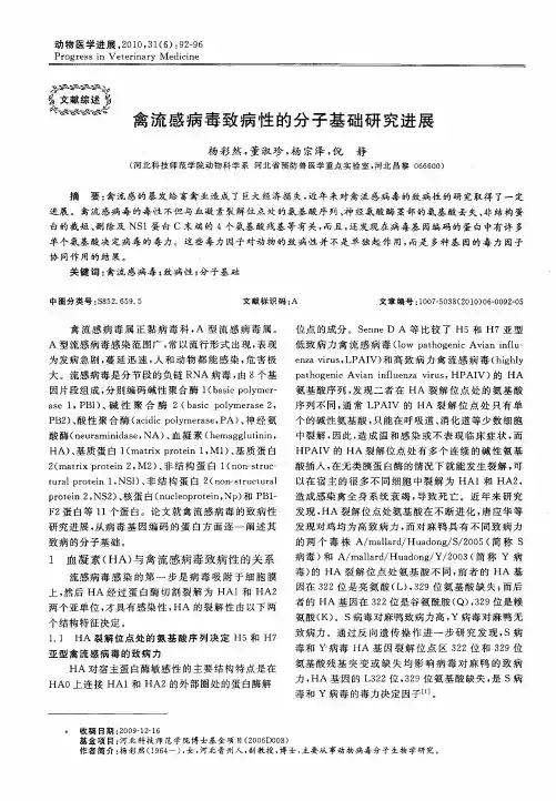 禽流感病毒致病性的分子基础研究进展