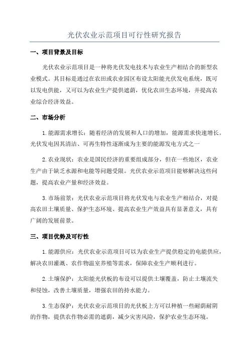 光伏农业示范项目可行性研究报告