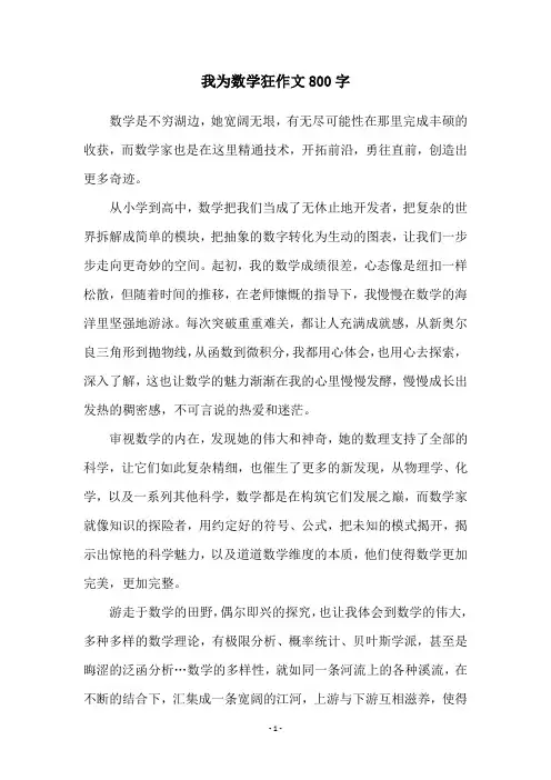 我为数学狂作文800字