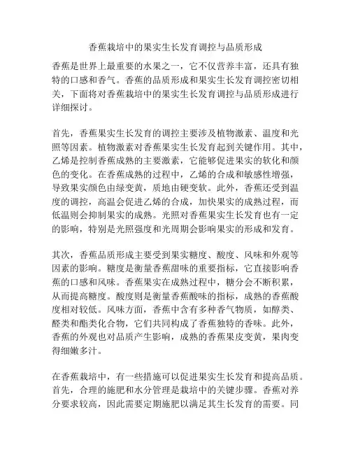 香蕉栽培中的果实生长发育调控与品质形成