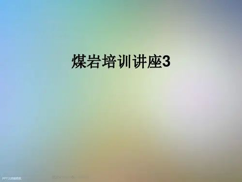 煤岩培训讲座3