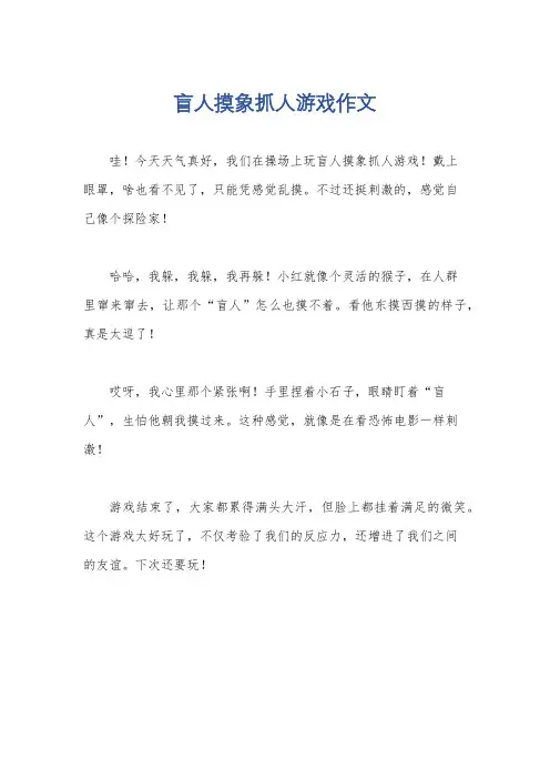 盲人摸象抓人游戏作文