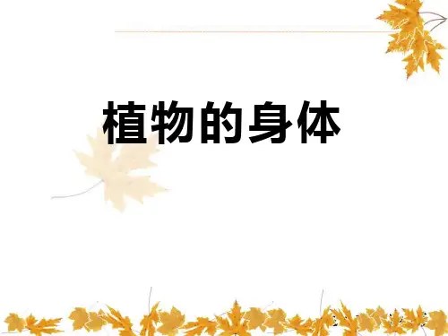 《植物的身体》植物的生长.PPT(新版本)