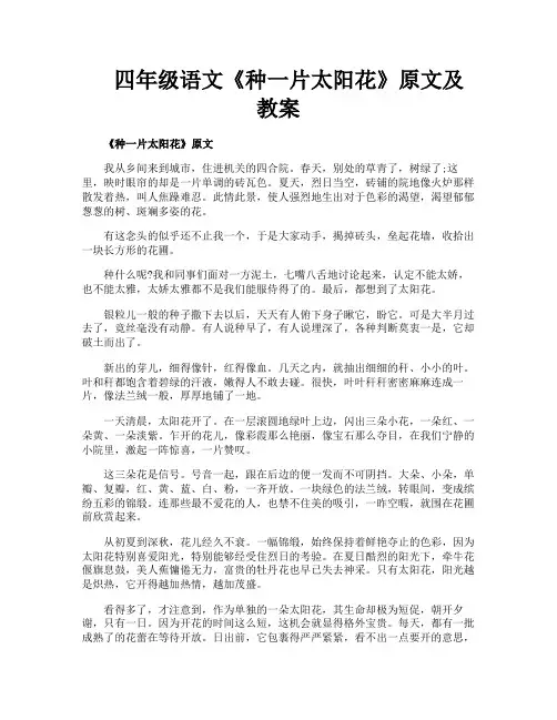 四年级语文《种一片太阳花》原文及教案