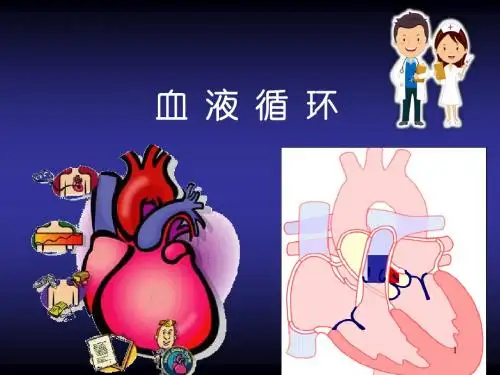 血管PPT学习课件