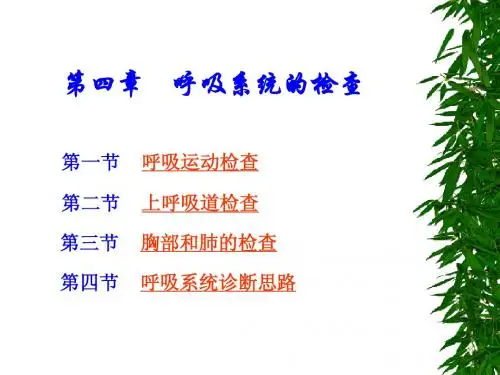 呼吸系统的临床检查