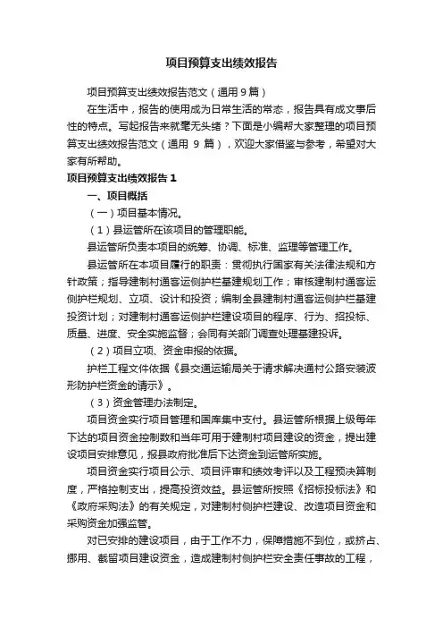 项目预算支出绩效报告范文（通用9篇）
