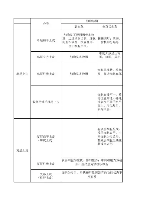 组胚-上皮组织总结