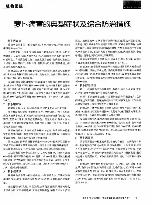 萝卜病害的典型症状及综合防治措施