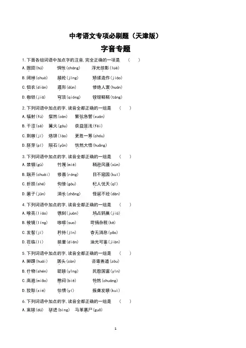 中考语文专项必刷题之字音专题(天津版)