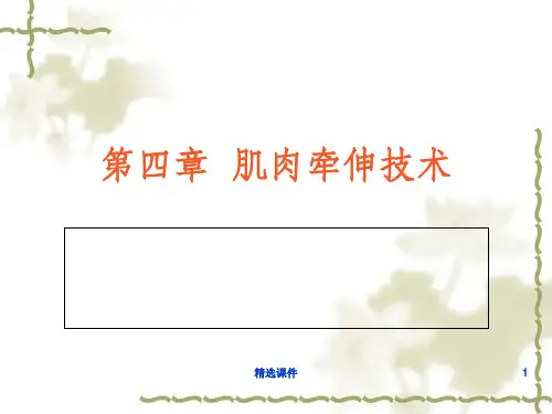 肌肉牵伸技术(上肢肌肉牵伸技术)