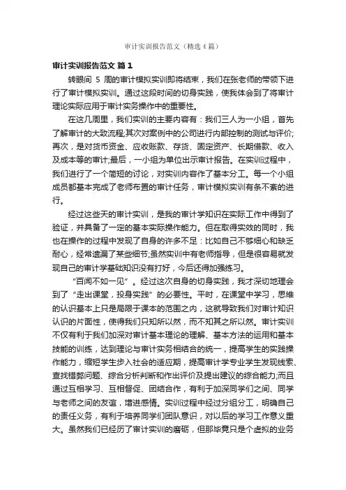 审计实训报告范文（精选4篇）