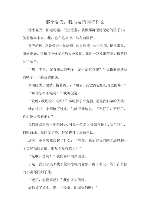 那个夏天,我与友谊同行作文