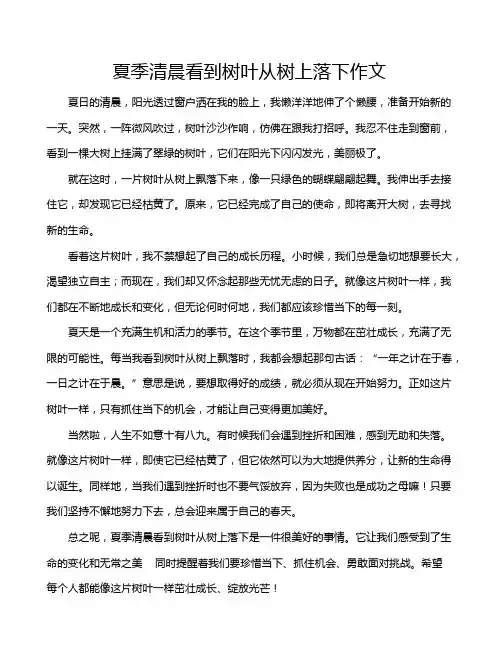 夏季清晨看到树叶从树上落下作文