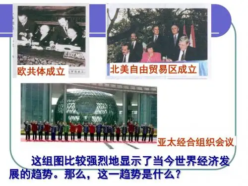 当今世界经济区域集团化的发展PPT教学课件3 人民版