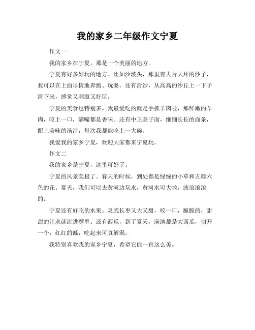 我的家乡二年级作文宁夏