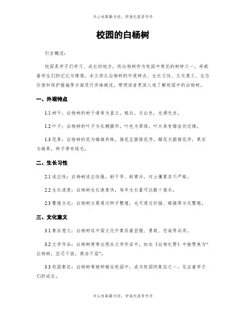 校园的白杨树