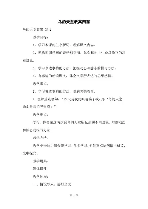 鸟的天堂教案四篇