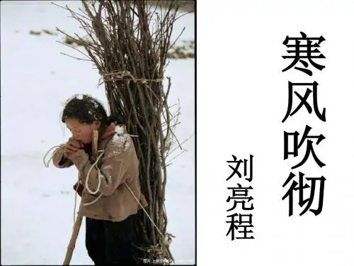 《寒风吹彻》上课用课件