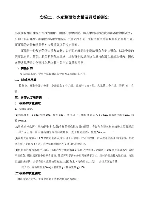 路。实验二 小麦粉面筋含量及品质的测定