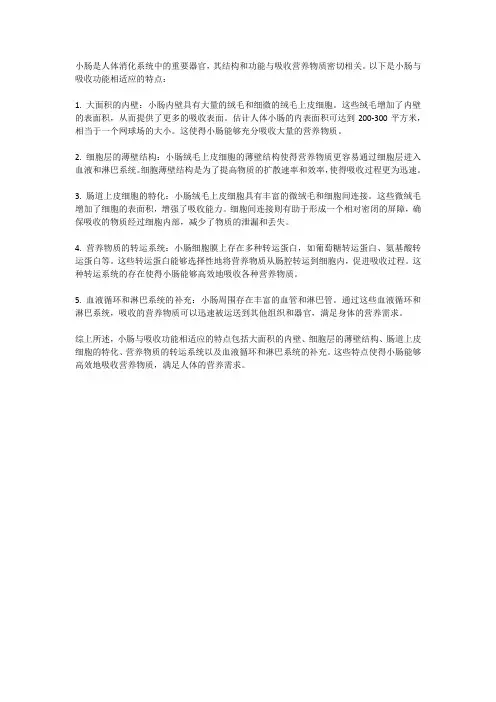 小肠与吸收功能相适应的特点