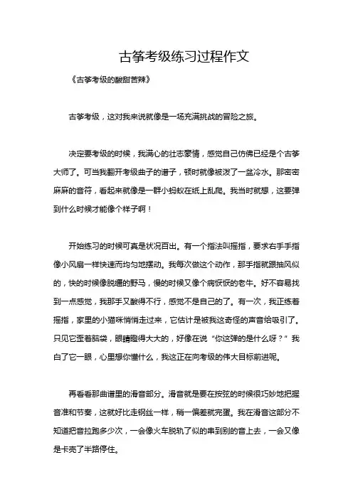 古筝考级练习过程作文