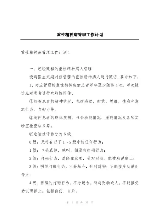 重性精神病管理工作计划