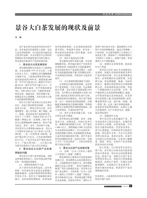 景谷大白茶发展的现状及前景