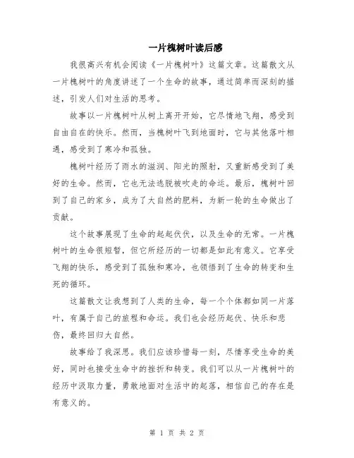 一片槐树叶读后感