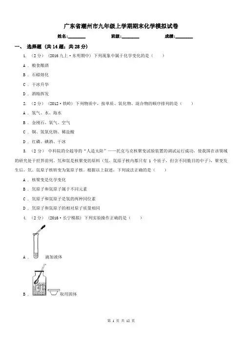 广东省潮州市九年级上学期期末化学模拟试卷
