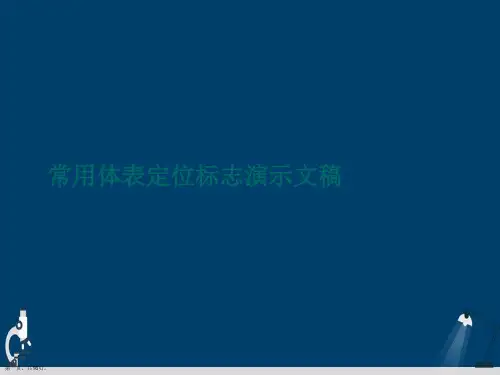 常用体表定位标志演示文稿